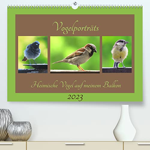 Vogelporträts - Heimische Vögel auf meinem Balkon (Premium, hochwertiger DIN A2 Wandkalender 2023, Kunstdruck in Hochglanz)