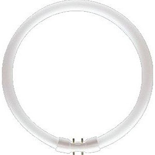 Philips Leuchtstofflampe TL5-C 840 coolwhite 2GX13 Circular Pro 40W