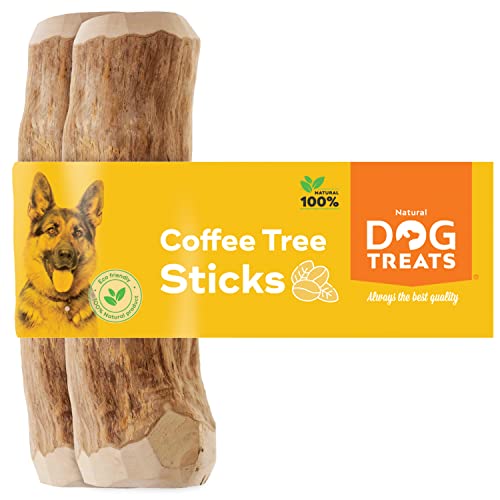 Natürlicher Kauknochen aus Kaffeeholz für Hunde - ideal für langanhaltenden Kauknochen und Zahnpflege - L -2U