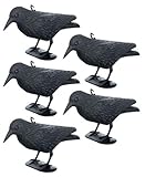 Brandsseller Schwarzer Rabe aus Kunststoff 36 x 20 cm Taubenabwehr Vogelschreck gegen kleine Vögel und Tauben Tierfreundliche Abschreckung - 5 Stück