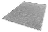 pflegeleichter Wohnzimmer Teppich Pure — antistatischer Flur Teppich — Kurzflor Teppich — (80x150cm, Silber)