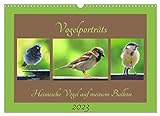Vogelporträts - Heimische Vögel auf meinem Balkon (Wandkalender 2023 DIN A3 quer), Calvendo Monatskalender