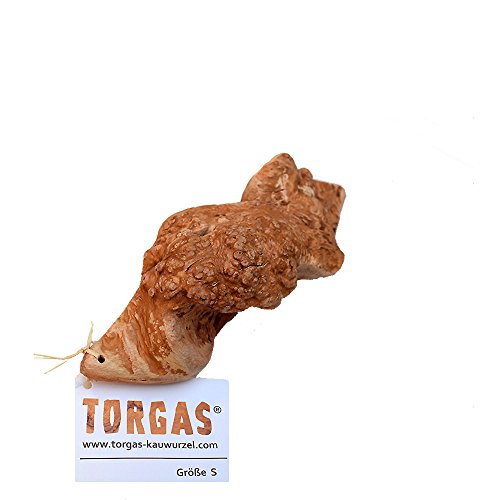 TORGAS® Kauwurzel -Das Original aus Portugal- Größe S