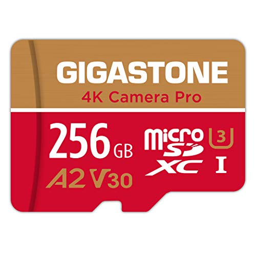 [5 Jahre kostenlose Datenwiederherstellung] Gigastone 4K Kamera Pro 256GB MicroSDXC Speicherkarte und SD-Adapter, Kompatibel mit GoPro Drohne Switch, schwindigkeit 100 MB/s, A2 U3 V30 Micro SD Karte