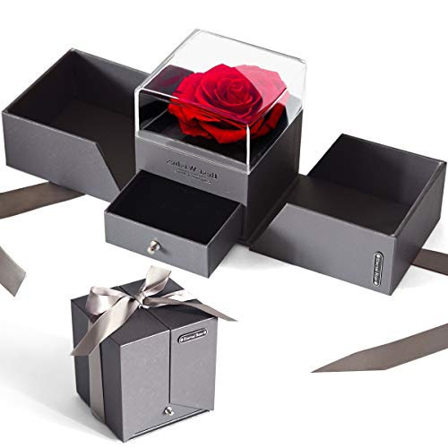 iteaauk Ewige Rose Geschenkbox Schöne und das Biest Ewige Rose im Schmuckschatulle Konservierte Blumen Rosenbox für Frauen zum Valentinstag Muttertag Geburtstag Jahrestag Geschenk für Sie (Grau)