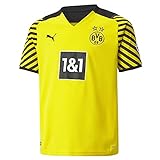 Borussia Dortmund, Herren Trikot, Saison 2021/22, Heimtrikot