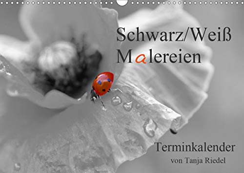 Schwarz-Weiß Malereien Terminkalender von Tanja Riedel für die SchweizCH-Version (Wandkalender 2021 DIN A3 quer)