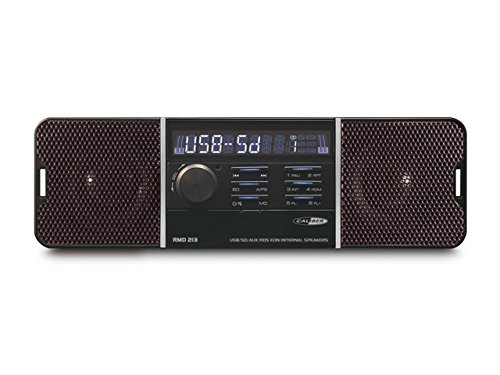 Autoradio USB/SD/Aux FM Tuner, mit integrierten Lautsprecher 12/24 V