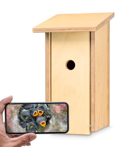 Vogelhaus mit Funkkamera Salvin | Vögel bei der Brut am Smartphone oder Tablet beobachten | WLAN-Kamera mit Ton, Nachtsicht, Videoaufnahme und App