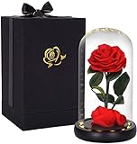 HelaCueil Die Schöne und das Biest Rose Ewige Rose im Glas - with LED Light and Gift Box Muttertagsgeschenk (Echte Rose/Die Schöne und das Biest)