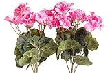 Evergreens künstlicher Geranienbusch mit 7 Stielen und 3 kleinen und 4 größeren Blütenköpfen (2 Stück) (pink)
