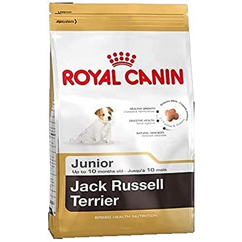 ROYAL CANIN Jack Russel Junior 3 kg, 1er Pack (1 x 3 kg)