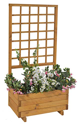 GASPO Blumenkasten mit Rankgitter Hellbrunn | Honig-Farben, aus massivem Holz | L 68 x B 37 x H 140, Pflanzkübel für Balkon und Garten