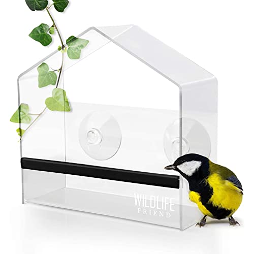 WILDLIFE FRIEND | Fenster Futterhaus für Vögel I Transparent mit Saugnäpfen I Vogelhaus, Futterspender, Vogelfutterhaus für Meisen, Spatzen & Wildvögel [Smart]