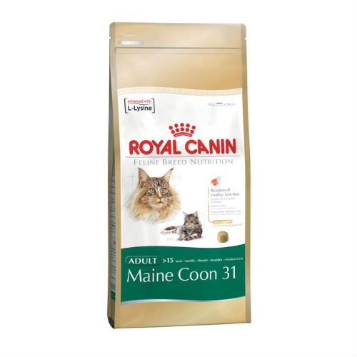 ROYAL CANIN Feline Maine Coon 10 kg