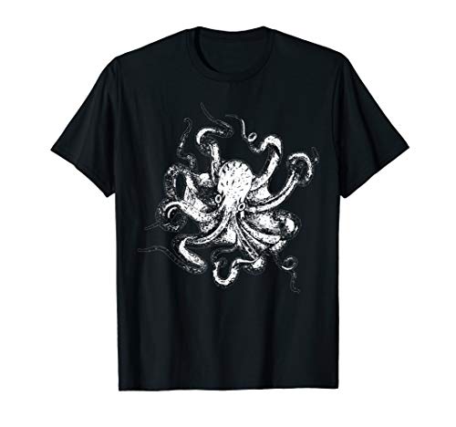Krake - Tintenfisch Oktopus Cephalopod Polyp Meer Tentakel