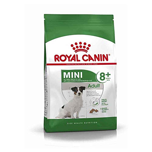 ROYAL CANIN Mini Adult 8+ - 4 kg