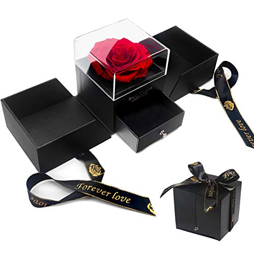 E-MANIS Schönheit und das Biest Rose Handgemachte konservierte Rose Schmuck Geschenkbox Nie verwelkte Rosen Ewige Blume für Liebhaber Geschenk für Sie AmValentinstag Muttertag Weihnachtstag