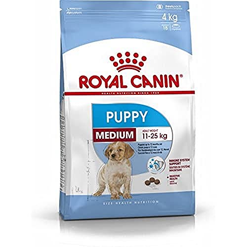 Royal Canin Medium Junior Trockennahrung für Hunde