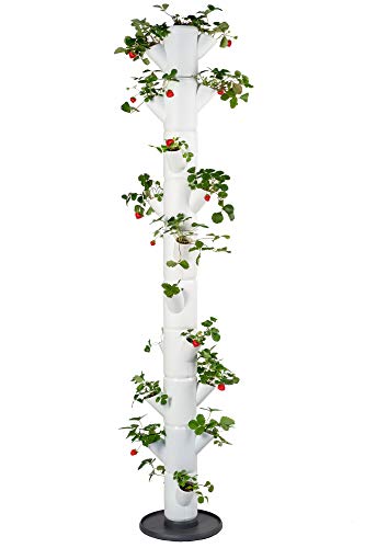 GUSTA GARDEN Sissi Strawberry (Infinity, weiß) - Pflanzgefäß/Topf/Pflanzturm/Hochbeet für Erdbeeren - für Balkon, Garten und Terrasse - Erdbeeren und Kräuter anpflanzen