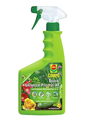 COMPO Duaxo Universal Pilz-frei AF, Fungizid, Bekämpfung von Pilzkrankheiten an Zierpflanzen, Gemüse und Kräutern, Anwendungsfertig, 750 ml