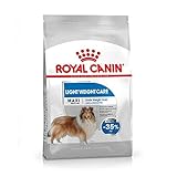 ROYAL CANIN Maxi Light Weight Care - 10 kg