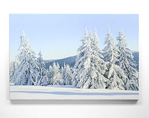 Wunderschönes Winter-Bild 50x50cm, Foto,Motiv – Winterpanorama – Tolles Leinwand Wandbild als Hintergrund und Deko für Wohnzimmer & Schlafzimmer. Aufgespannt auf 2cm Holzrahmen