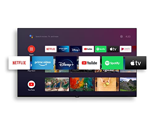 Nokia Smart TV 2400A - 24 Zoll Android TV (60cm) 12V Camping Fernseher (HD, LED, WLAN, Triple Tuner DVB-C/S2/T2, Android 9.0 inkl. Google Assistant, YouTube, Netflix, DAZN, Prime Video, Disney+)