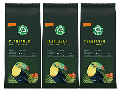 Lebensbaum Plantagen Kaffee, gemahlen, demeter, 3er Pack (3 x 250 g)