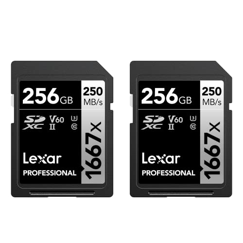 Lexar Professionelle SDXC UHS-II Karten, 1667 x 256 GB, für professionelle Fotografen, Videofilmer, Enthusiasten, LSD1667256G-B2NNU, 2 Stück