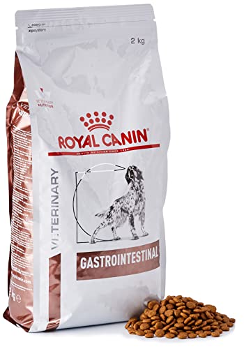 ROYAL CANIN Vet Diet Gastro Intestinal (GI 25) 2 kg