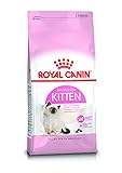 Royal Canin 55101 Kitten 2 kg - Katzenfutter
