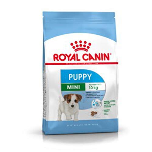 Royal Canin Mini Junior Trockennahrung für Hunde