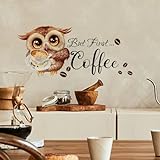 HGDESIGN® Wandtattoo Wandaufkleber Kaffee Zeit But First Coffee Eule Cappuccino Wandsticker Wanddeko für Küche Esszimmer (B)