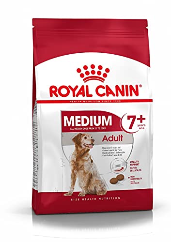 Royal Canin Medium Mature, 7+, 10 kg, 1er Pack (1 x 10 kg Packung), Hundefutter
