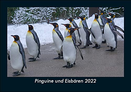 Pinguine und Eisbären 2022 Fotokalender DIN A5: Monatskalender mit Bild-Motiven von Haustieren, Bauernhof, wilden Tieren und Raubtieren