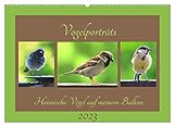 Vogelporträts - Heimische Vögel auf meinem Balkon (Wandkalender 2023 DIN A2 quer), Calvendo Monatskalender
