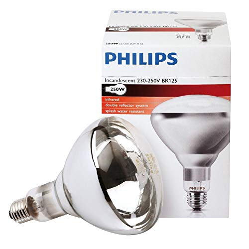 Philips Infrarotlampe 250 Watt BR125IR E27 230-250V Kolben silber Front klar