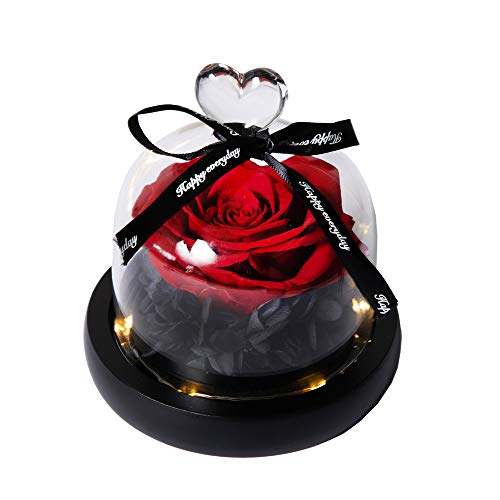 Hyindoor Ewige Rose im Glas Konservierte Rose Rote Seidenrose und LED-Licht in Glaskuppel auf Holzsockel Geschenke für Geburtstag, Hochzeit, Valentinstag, Muttertag, Jubiläum, Weihnachtstag