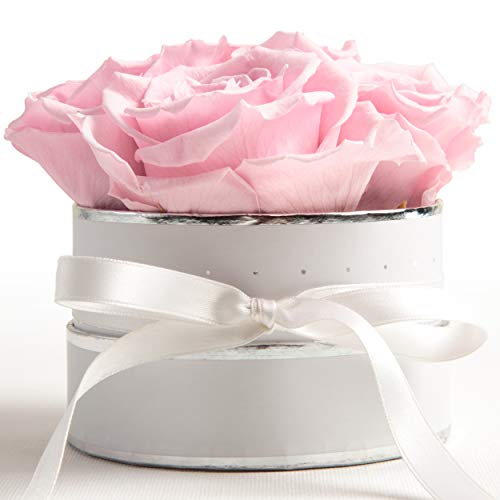 ROSEMARIE SCHULZ Heidelberg Flowerbox rund Infinity Rosen Rosa - Blumenbox in Weiß 4 konservierte Rosen Geschenk für Frauen