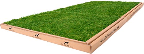CARNILO XL Hundeklo aus echtem Rasen 120 x 80 cm für ältere Hunde, Welpen, Trainingsunterlage