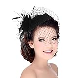 DEMU Damen Elegante Feder Fascinator Haarklammer Hochzeit Cocktail Netzschleier Mini-Hut Schwarz