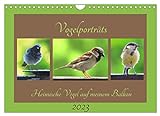 Vogelporträts - Heimische Vögel auf meinem Balkon (Wandkalender 2023 DIN A4 quer), Calvendo Monatskalender