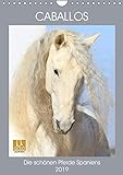 Caballos - Die schönen Pferde Spaniens (Wandkalender 2019 DIN A4 hoch): Begeben Sie sich auf eine kleine Reise und entdecken Sie die faszinierenden ... (Monatskalender, 14 Seiten ) (CALVENDO Tiere)