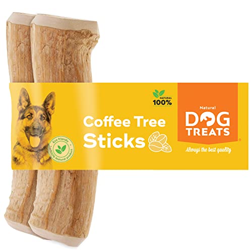 Natürlicher Kauknochen aus Kaffeeholz für Hunde - ideal für langanhaltenden Kauknochen und Zahnpflege - M -2U