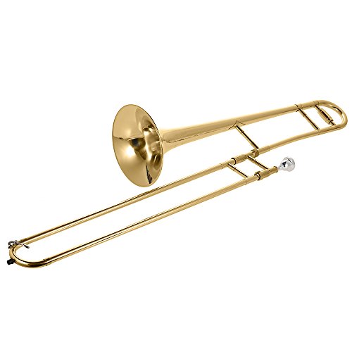 Ammoon Alto Posaune Messing Gold Lack Bb Ton B flach Blasinstrument mit Kupfernickel Mundstück Cleaning Stick Etui