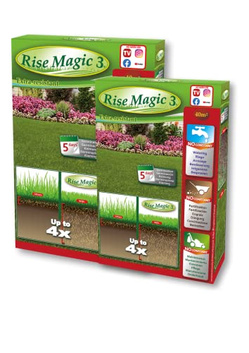 Rise Magic 3 - Saatgut für Rasen - Kältebeständigkeit - Krankheiten - 80 m²- ökologisch und biologisch - 2 Stück