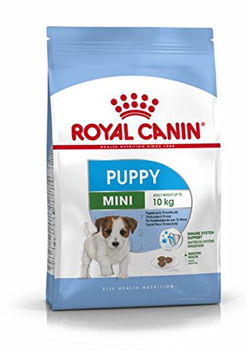 ROYAL CANIN Puppy Mini 2kg für kleine Hunde innerhalb der Wachstumsphase bis 10 Monate