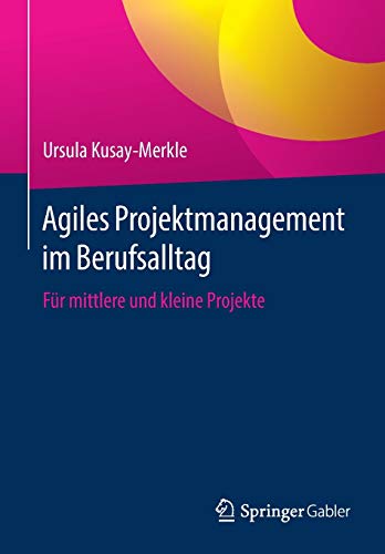 Agiles Projektmanagement im Berufsalltag: Für mittlere und kleine Projekte