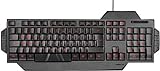 Speedlink RAPAX Gaming Keyboard - USB Gaming Tastatur - full size Layout - LED - gekennzeichnete Gaming Tasten - schwarz - IT Layout